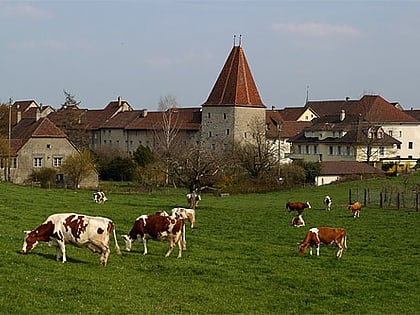 wiedlisbach castle