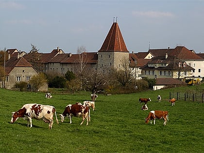 Wiedlisbach Castle