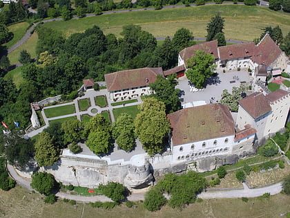 chateau de lenzbourg