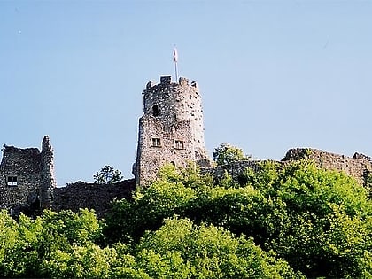Ruine Neu-Falkenstein