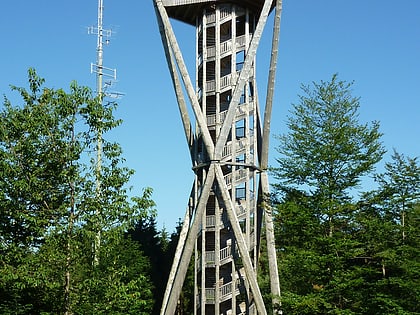 wil tower