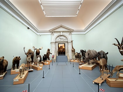 musee cantonal de zoologie lozanna