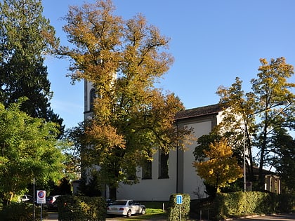 Reformierte Kirche Rapperswil