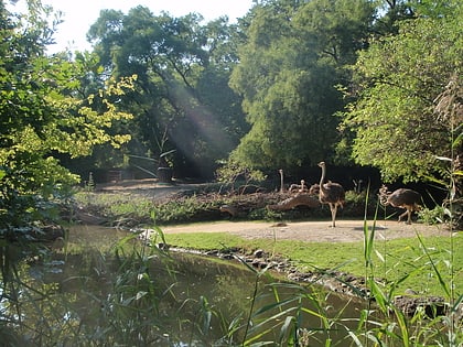 zoologico de basilea