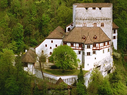angenstein castle aesch