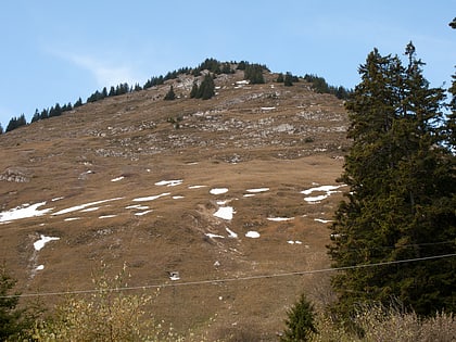 Mont d'Or