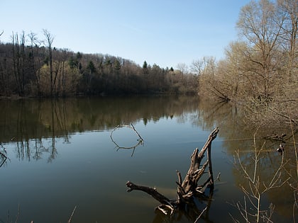 lac coffy