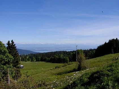 col de la vue des alpes