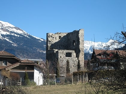 burg friedau