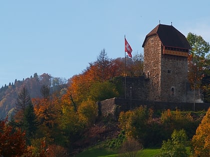 iberg castle wattwil