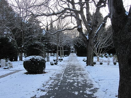 Friedhof Daleu