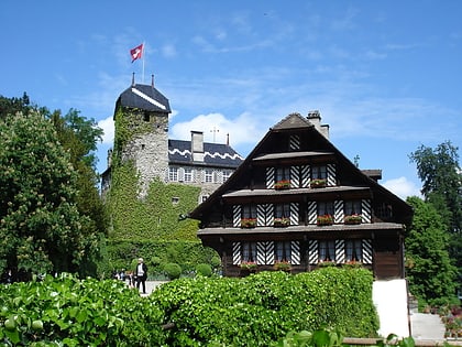 Schloss Buonas