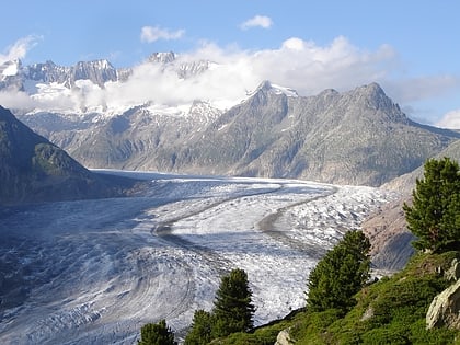 glacier daletsch