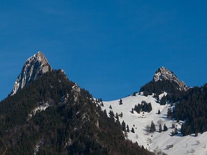 dent de broc