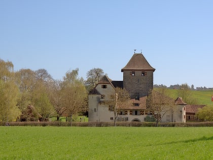 hegi castle winterthur