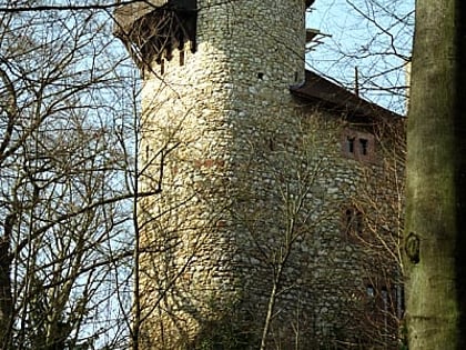 reichenstein castle arlesheim