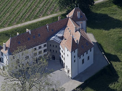chateau dallaman