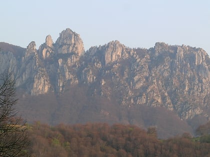 denti della vecchia