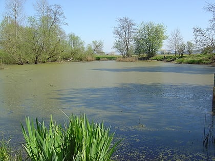 agelsee