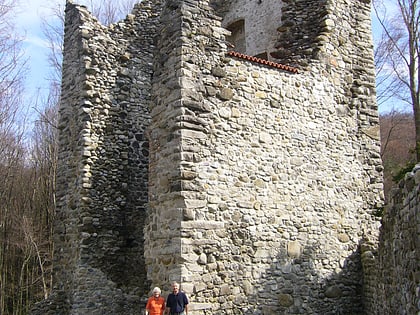 Ruine Neuburg