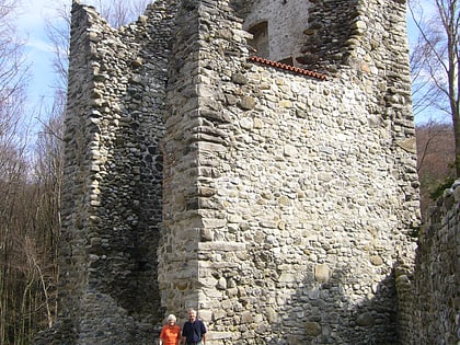 ruine neuburg