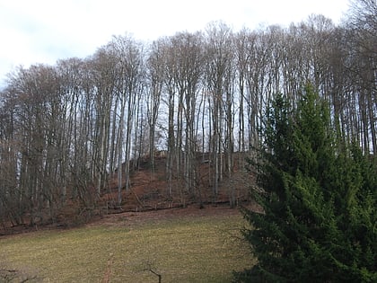 ruine grunenberg