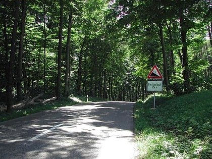 Benkerjoch Pass