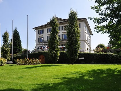 rosenberg estate pfaffikon