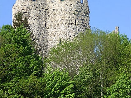 pfeffingen castle