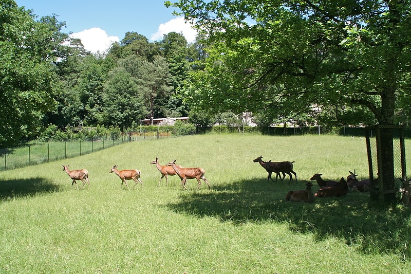 Langnau am Albis