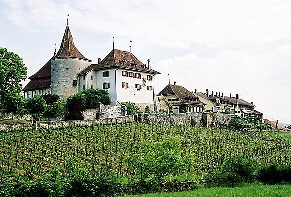 erlach castle