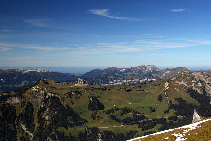 Schynige Platte