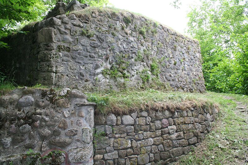 Ruine Alt-Landenberg