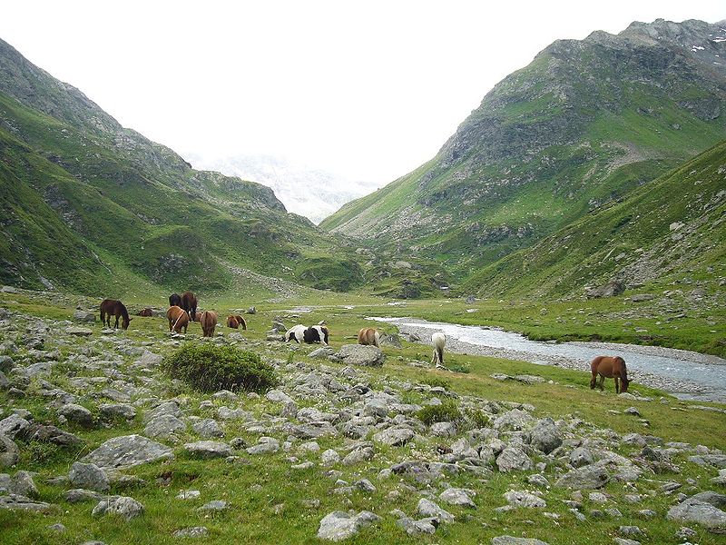 Val Curciusa