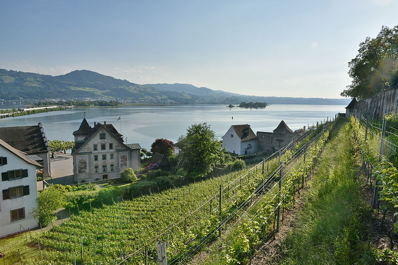 Rosengärten in Rapperswil