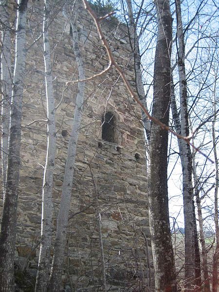 Burg Castelberg