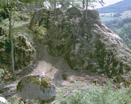 Ruine Frohberg