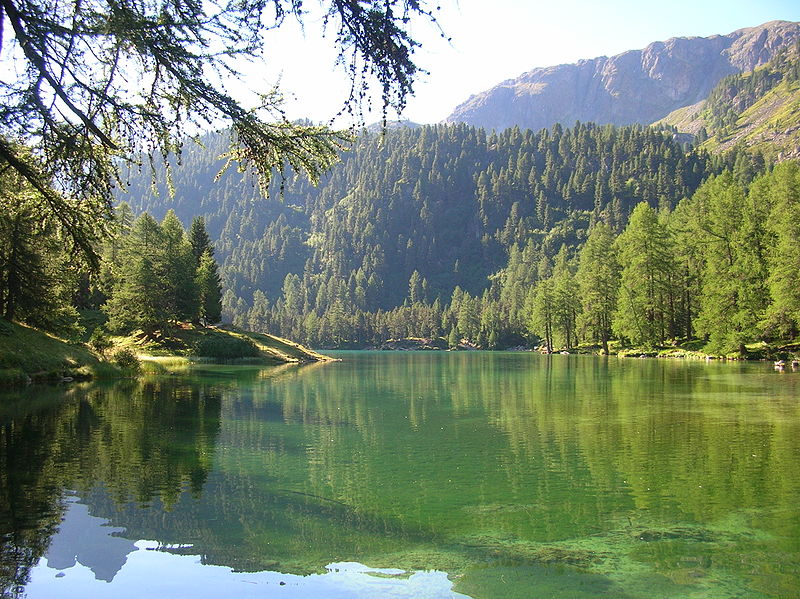 Lac de Palpuogna