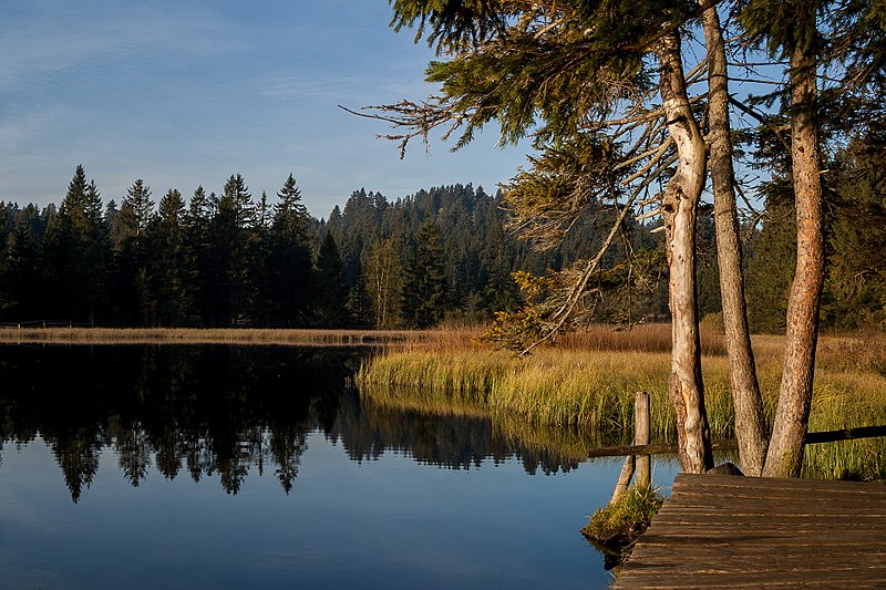 Etang de la Gruère