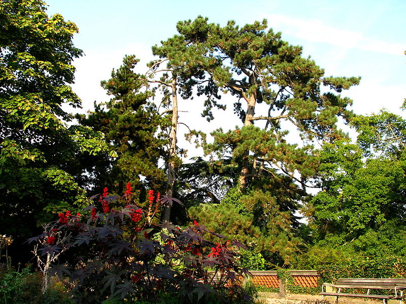 Old Botanical Garden