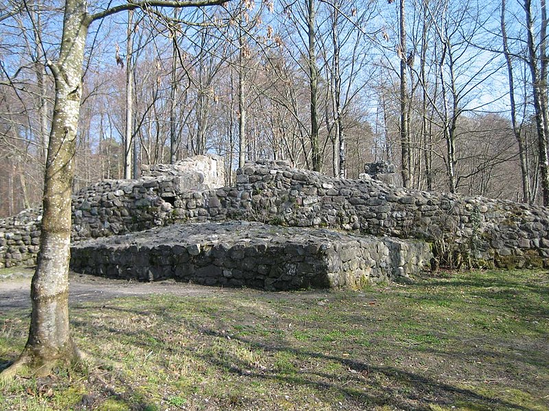 Ruine Wulp
