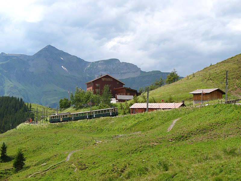 Wengernalp