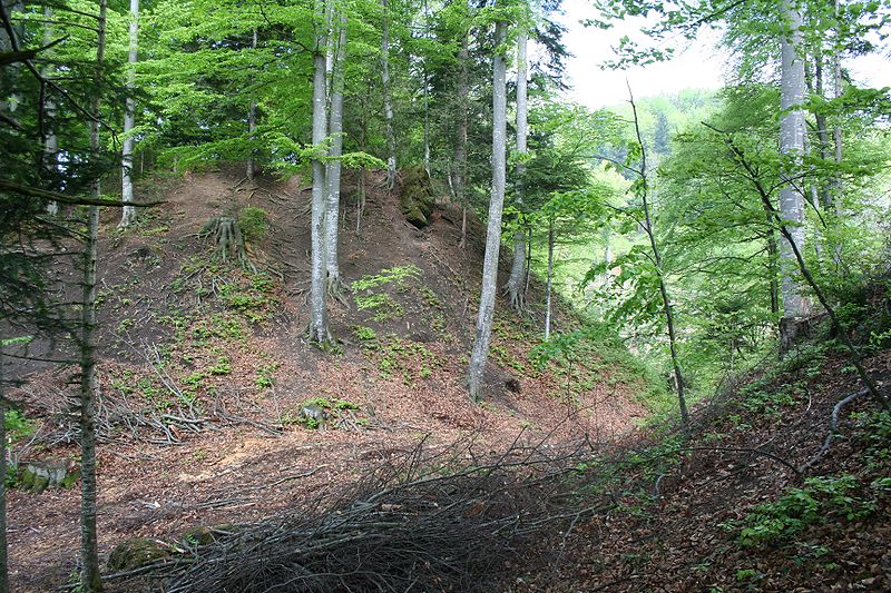 Ruine Bernegg