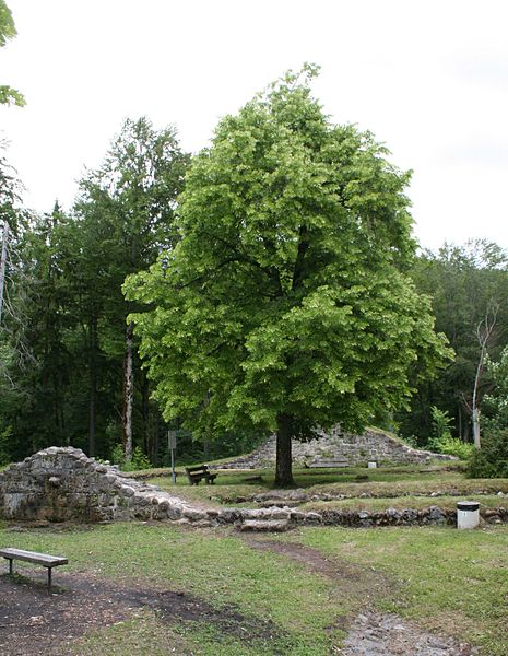 Ruine Alt-Landenberg