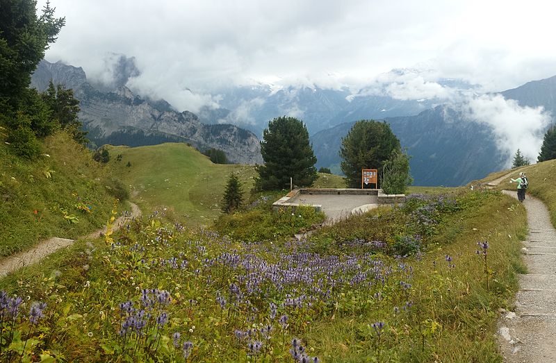 Schynige Platte Alpine Garden