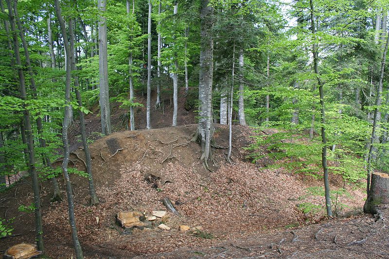 Ruine Bernegg