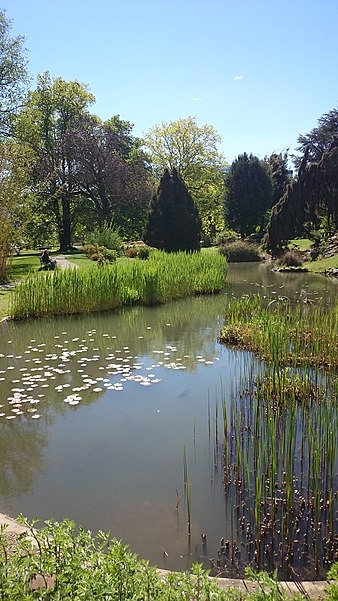 Jardin botanique de Genève