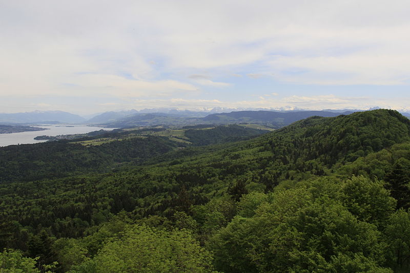 Wildnispark Zürich Sihlwald