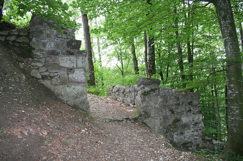 Ruine Alt-Landenberg