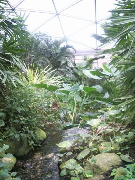 Papiliorama